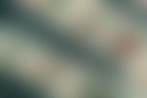 Фотография квеста Ограбление банка от компании World of Quests (Фото 1)