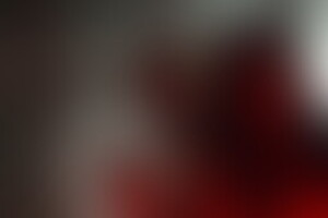 Фотография квеста Кошмар на улице Вязов от компании World of Quests (Фото 2)